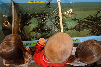 Youth touring the Black River sturgeon hatchery.