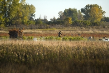 Fish Point waterfowl hunting
