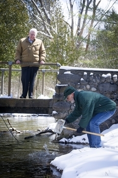 Dr. Howard Tanner watches as coho salmon are stocked in the Platte River.