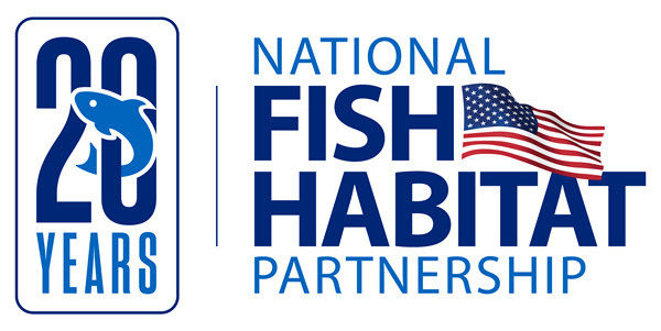 NFHP 20th Anniversary Logo