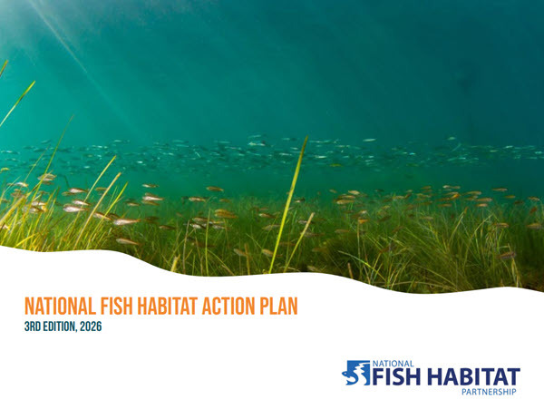 NFHP 3rd Edition Action Plan Cover