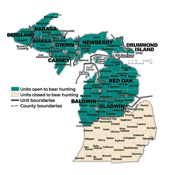 BMU Map