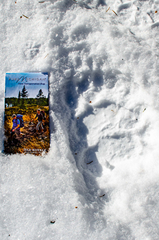 A black bear track is shown in the snow with a highway map for size comparison.