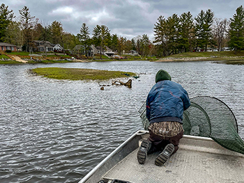 A fisheries staffer is shown checking a large, mesh fyke net deployed in the upper west arm of Secord Lake on May 13, 2026. 