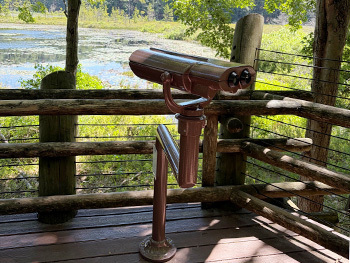  EnChroma-enabled viewer sitting on observation deck