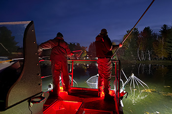 The Michigan Department of Natural Resources will be conducting nighttime surveys to evaluate walleye stocking.
