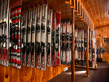 skis lined up in rental shop