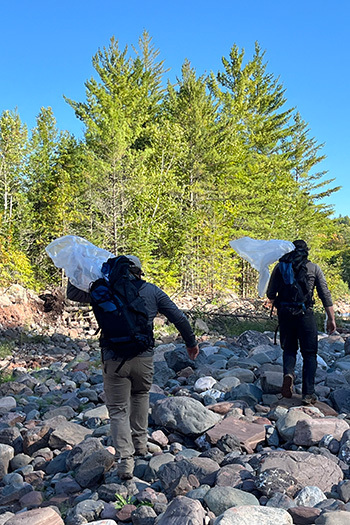 DNR staff transported sturgeon to suitable habitat quickly using hiking bags while the sturgeons’ gills remained immersed in fresh water.