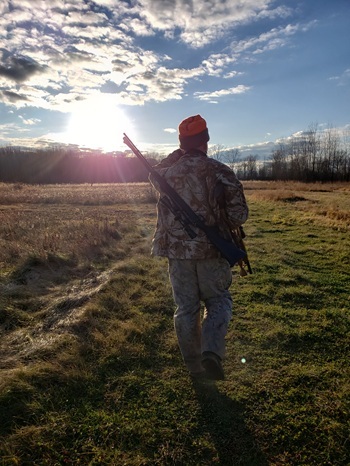 a man wearing camo clothing and hunter orange hat carries a rifle while walking in a field. Sun is setting against a blue sky with clouds