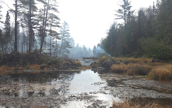 Smoke lingers in remote area that recently burned in Craig Lake fire.