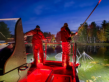 A Michigan Department of Natural Resources staffers conducting a nighttime survey for walleye.