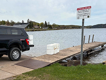 Walleye fry stocking at Teal Lake in Negaunee in Marquette County in 2025.