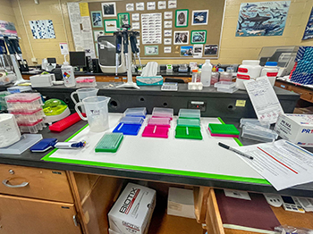 Setup in Dr. Jared Homola’s laboratory conducting parentage-based tagging analysis on walleye samples.