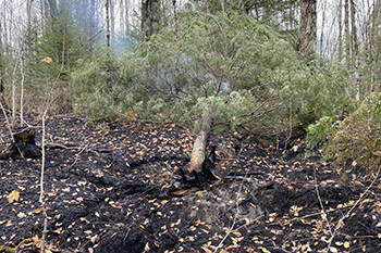 A scene from the Ridge Fire in the UP October 2026