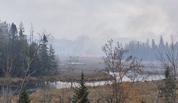 Orange flames from the Black River Fire cut across the landscape and thick, gray smoke billows into the sky. 