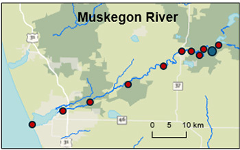 Acoustic telemetry receiver stations will be located along the Muskegon River. Image courtesy of The Nature Conservancy in Michigan