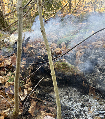 A hot spot found as part of the Rugged Terrain Complex fires.