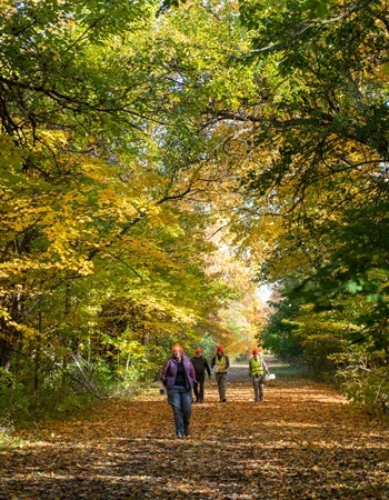 Small group of people in fall clothing and hunter orange hats walk a leaf-covered, autumn-hued, forested trail
