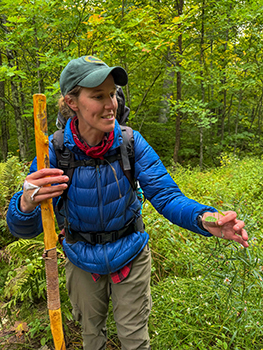 Katie Urban shows spotted jewel weed to the group.