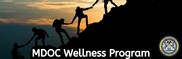wellness program