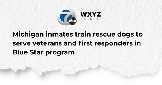 Headline tear saying: Michigan inmates train rescue dogs to serve veterans and first responders in Blue Star program