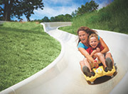 The Perfect Family Vacation