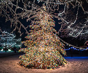 Christmas at Crossroads Overnight Package