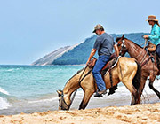Five Places to Discover Amazing Sand Dunes in Michigan