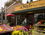 Food Tours in Ann Arbor from By the Sidewalk