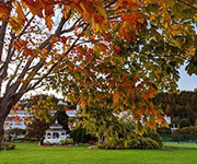 Experience Autumn on Mackinac Island