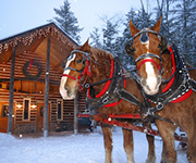 Enjoy this Award-Winning Event in Any Season!