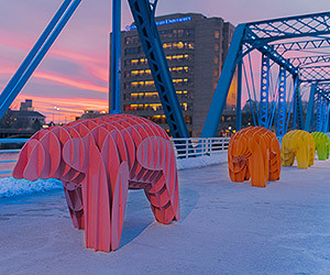 Experience the Midwest?s Largest Winter Festival in Grand Rapids