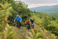 A group mountain biking in a forest.