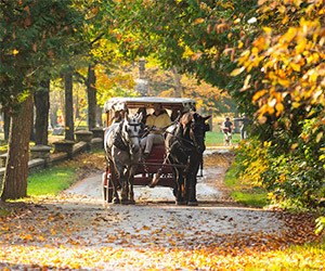 Experience Perfect Season on Mackinac Island