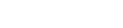 Pure Michigan logo