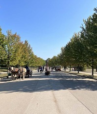 Horses and bikes travel on a paved road on Mackinac Island