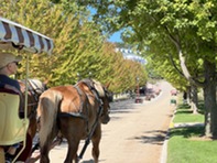 Carriage ride on Mackinac Island