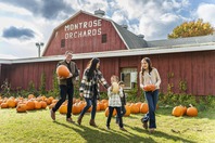 A family at a pumpkin patch