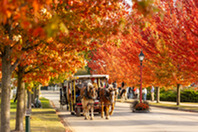 A carriage tour on Mackinac Island