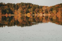 Fall trees around a lake. 