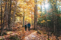 A couple hiking in the woods