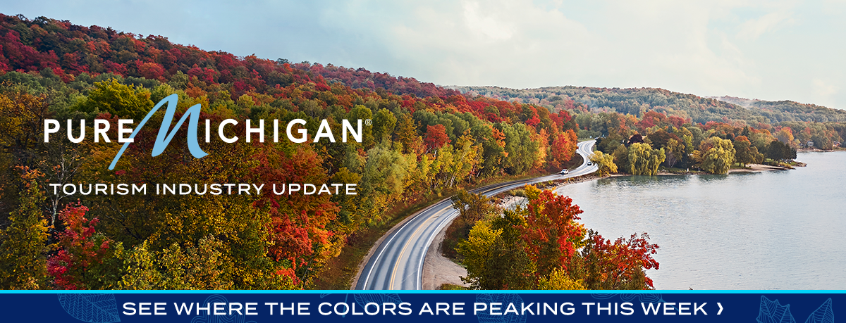 Newsletter header depicting a car driving between a fall forest and the coastline. 