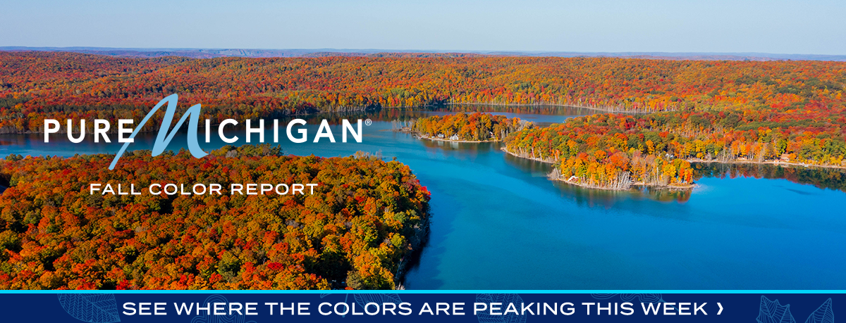 Newsletter header depicting fall forests around bodies of water. 