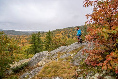 A man with a mountain bike on a trail overlooking a forest of fall trees. 