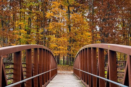 A foot bridge under a forest of fall trees. 