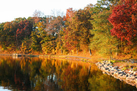 Fall trees along an inland lake. 