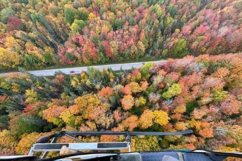 The view from a helicopter above a fall forest in Munising. 