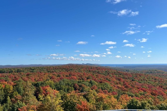 Overlook of trees changing colors in the fall