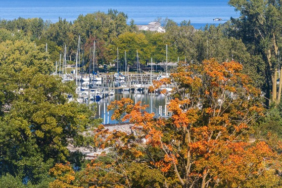 a boat marina with fall color trees in the background