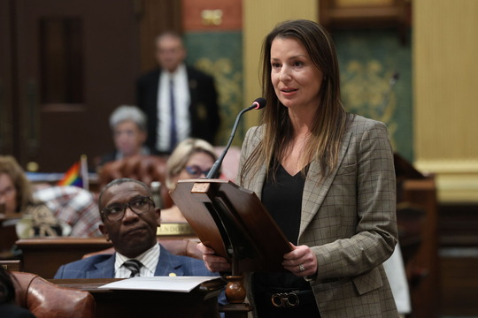 State Rep. Samantha Steckloff (D-Farmington Hills) speaks in favor of bills to create the Michigan Family Protection Act on Thursday, Nov. 9, 2023 at the state Capitol in Lansing.